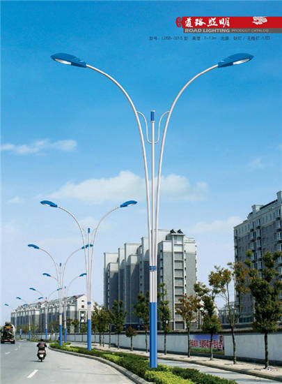LDSB-0015·