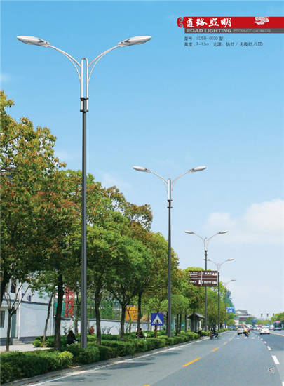 LDSB-0020е·