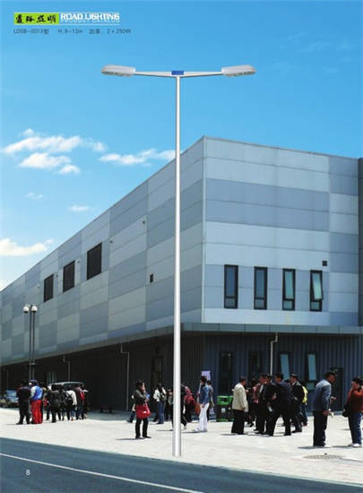 LDSB-0028е·